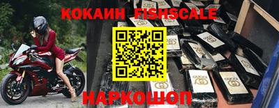 стаф Тула