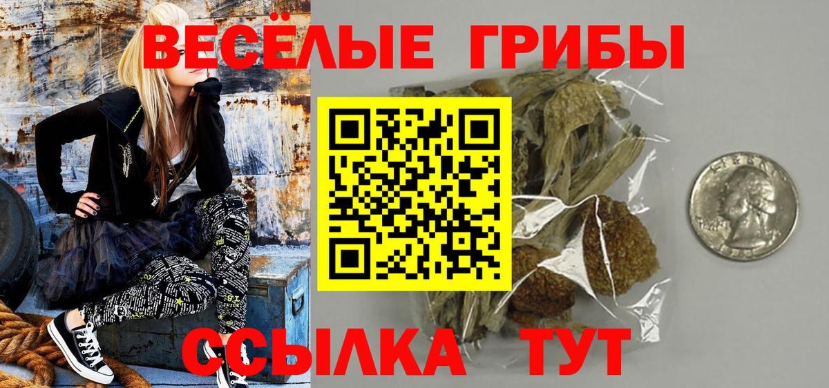 Галлюциногенные грибы прущие грибы  Галлюциногенные грибы GOLDEN TEACHER  Назрань  Вход с VPN 