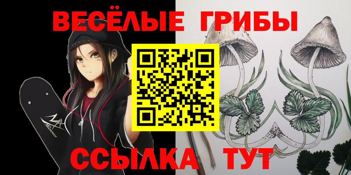 Псилоцибиновые грибы мицелий Назрань